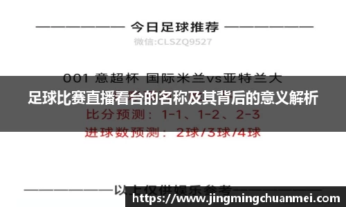 足球比赛直播看台的名称及其背后的意义解析